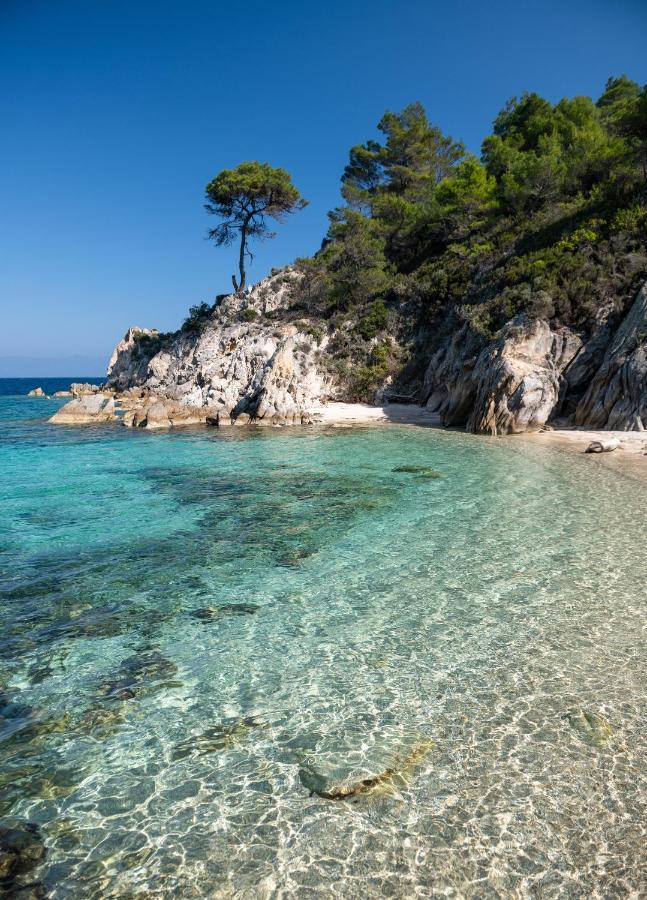 Bosporus Apartments Sarti Zewnętrze zdjęcie